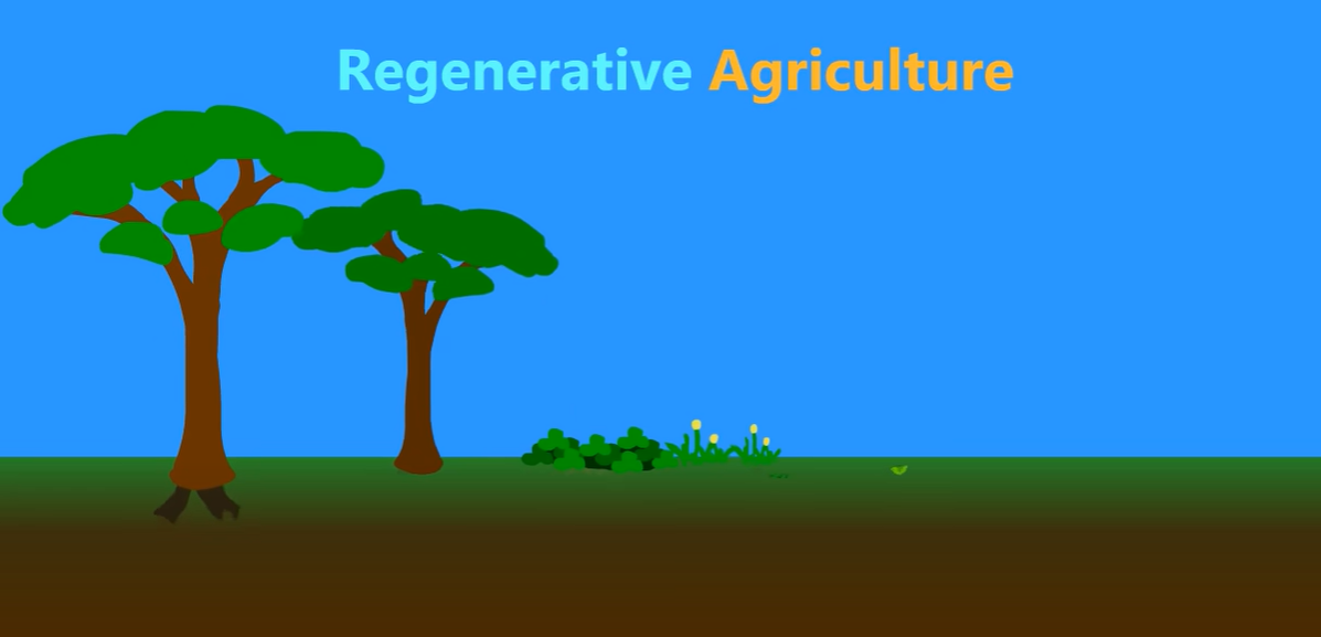 What is Regenerative Agriculture?