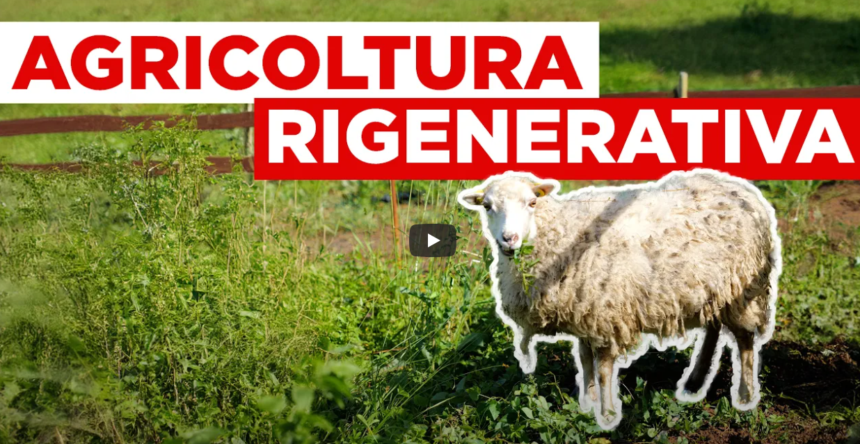 Cos’è l’agricoltura rigenerativa