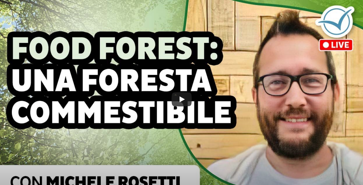 Food forest: una foresta commestibile | Michele Rosetti