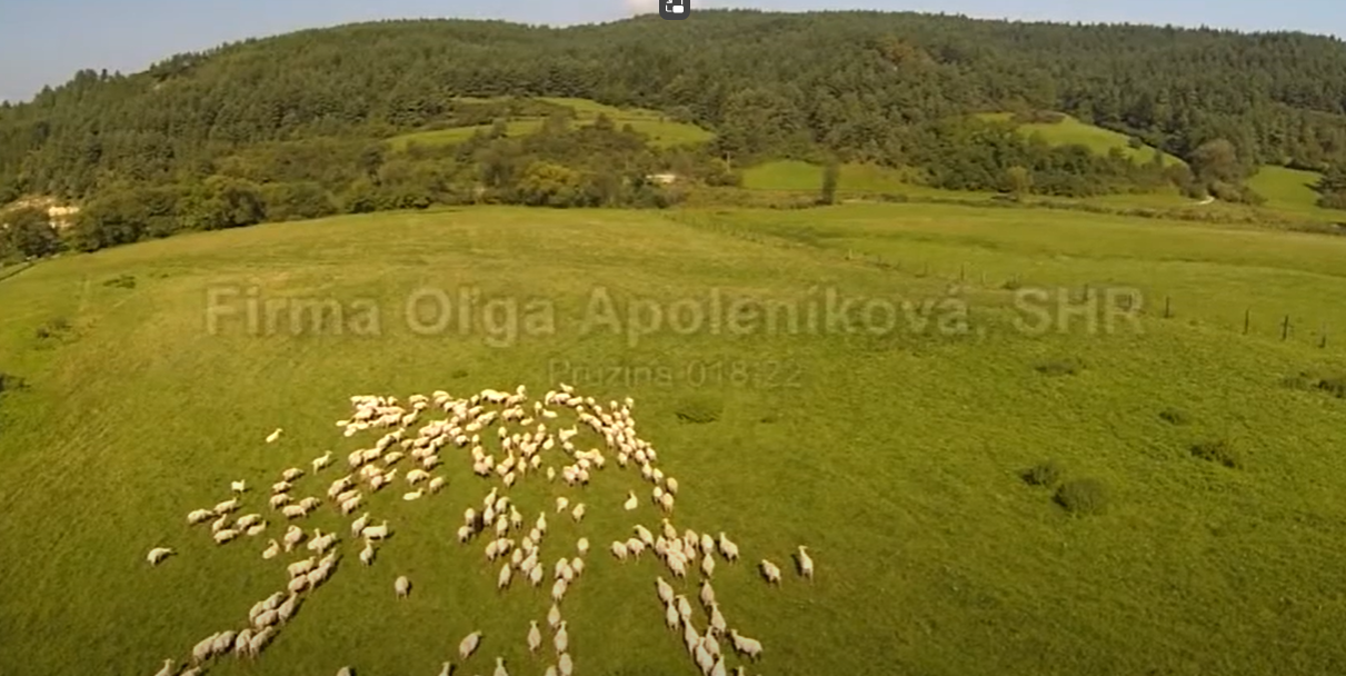 Dobré príklady praxe v oblasti ekologickej poľnohospodárskej výroby prostredníctvom videoprodukcie